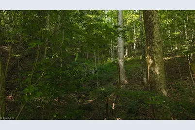 Tbd Brushy Mountain Road, Moravian Falls, NC 28654 - Photo 26