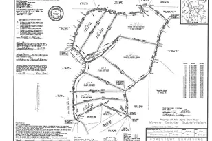 6 Arlie Myers Store Rd, McGrady, NC 28649 - Photo 1
