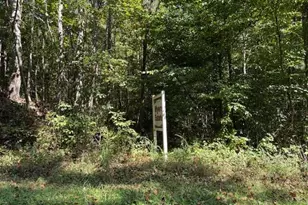 5 Arlie Myers Store Rd, McGrady, NC 28649 - Photo 1