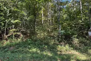 2 Arlie Myers Store Rd, McGrady, NC 28649 - Photo 1