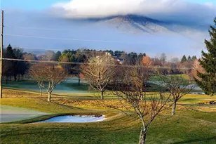 233 Lakeview Pl, Jefferson, NC 27640 - Photo 2