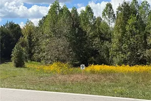 Lot 9 Park Springs Rd, Providence, NC 27315 - Photo 1