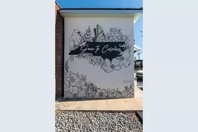 3525 Spring Hope Court, Kernersville, NC 27284 - Photo 16