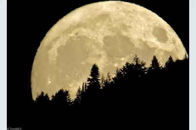 204 Violet Ridge Trail, Lowgap, NC 27024 - Photo 44