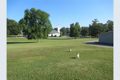 56 Bonlee School Road, Bear Creek, NC 27207 - Photo 30