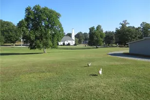 56 Bonlee School Rd, Bear Creek, NC 27207 - Photo 30