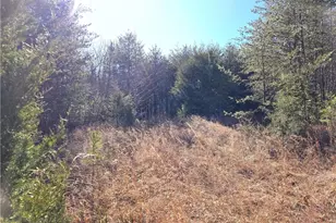 Xx- 17 5 Acres+- Nc Hwy 268, Pinnacle, NC 27043 - Photo 1