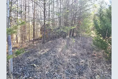 Xx- 17.5 Acres+- Nc Highway 268, Pinnacle, NC 27043 - Photo 6