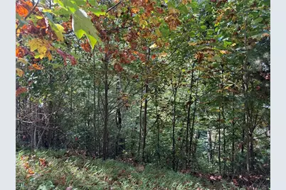000 Price Road, Moravian Falls, NC 28654 - Photo 4