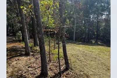 803 Birch Bark Lane, Greensboro, NC 27455 - Photo 4