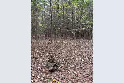 Lot 3 Ruff Hollar Drive, East Bend, NC 27018 - Photo 2