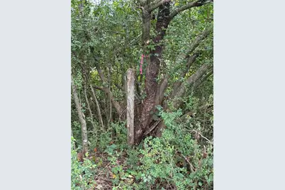 Lot 3 Ruff Hollar Drive, East Bend, NC 27018 - Photo 1