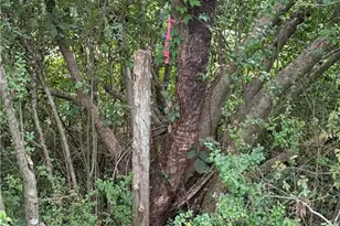 Lot 3 Ruff Hollar Dr, East Bend, NC 27018 - Photo 1