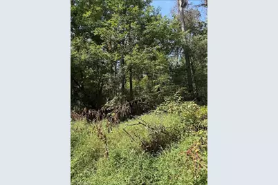 Lot 3 Ruff Hollar Drive, East Bend, NC 27018 - Photo 8