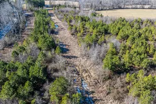 1100 Ben Smith Rd, Siler City, NC 27344 - Photo 34