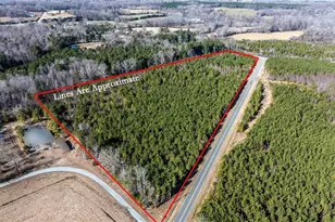 1100 Ben Smith Rd, Siler City, NC 27344 - Photo 44