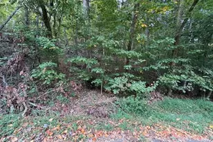 Tbd Holly Tree Dr, Wilkesboro, NC 28697 - Photo 1