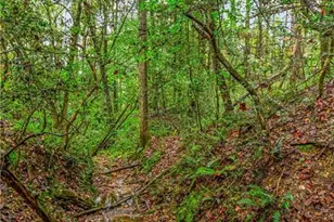 752 Joe Layne Mill Rd, Elkin, NC 28621 - Photo 36