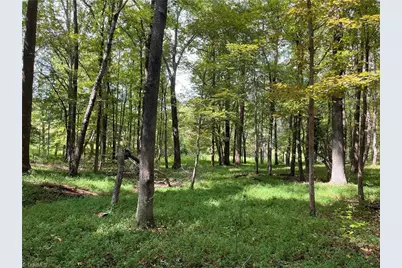 0 Mae Kennedy Road, Thomasville, NC 27360 - Photo 4