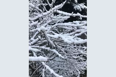 1109 Westridge Road, Greensboro, NC 27410 - Photo 50