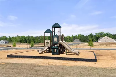 1325 Cricket Street, Elon, NC 27244 - Photo 44