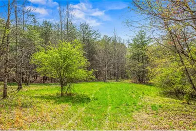 1305 Brim Road, Mount Airy, NC 27030 - Photo 30