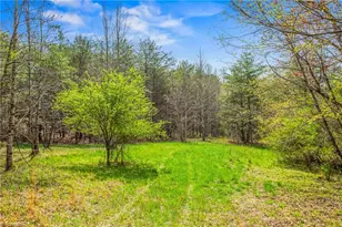 1305 Brim Rd, Mount Airy, NC 27030 - Photo 30