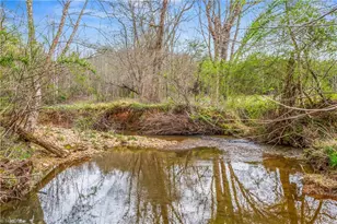 1305 Brim Rd, Mount Airy, NC 27030 - Photo 36