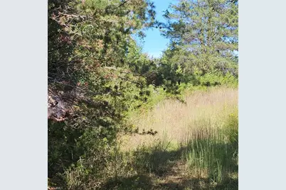 0 Edwards Farm Road, King, NC 27021 - Photo 6