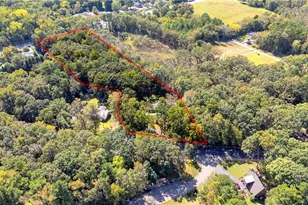 217 Lambert Rd, Biscoe, NC 27209 - Photo 38