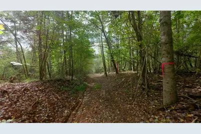 1580 Seven Island Road, Danbury, NC 27016 - Photo 22