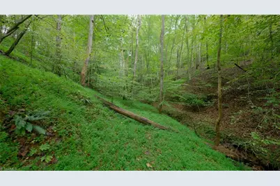 1580 Seven Island Road, Danbury, NC 27016 - Photo 34