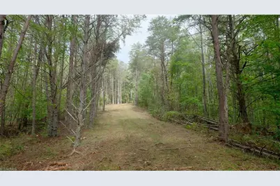 1582 Seven Island Road, Danbury, NC 27016 - Photo 26