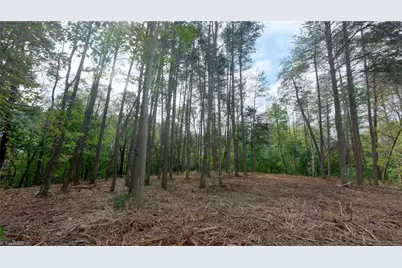 1582 Seven Island Road, Danbury, NC 27016 - Photo 30