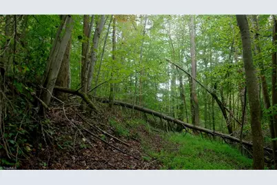 1582 Seven Island Road, Danbury, NC 27016 - Photo 20