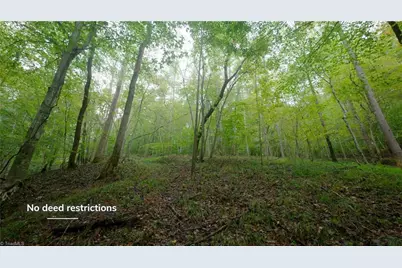 1582 Seven Island Road, Danbury, NC 27016 - Photo 22