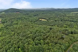 2102 Pleasant Union Rd, Denton, NC 27239 - Photo 40