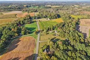 7238 Abb Rd, Gibsonville, NC 27249 - Photo 34