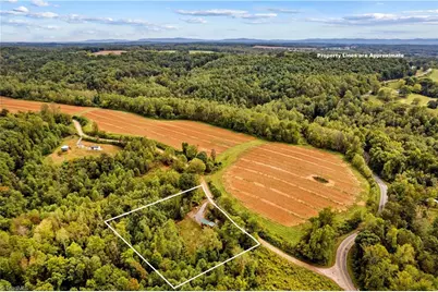 1136 Bauguess Mill Road, Traphill, NC 28685 - Photo 34