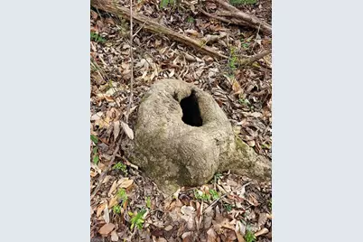 4530 Peeples Road, Oak Ridge, NC 27310 - Photo 18