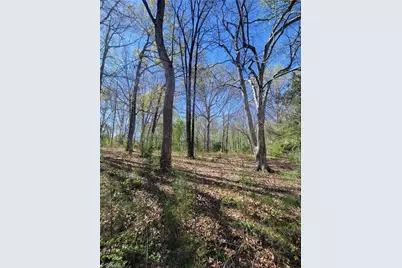 4650 Huntingwood Road, Ramseur, NC 27316 - Photo 4