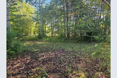 0 Dodgetown Road, Walnut Cove, NC 27052 - Photo 2