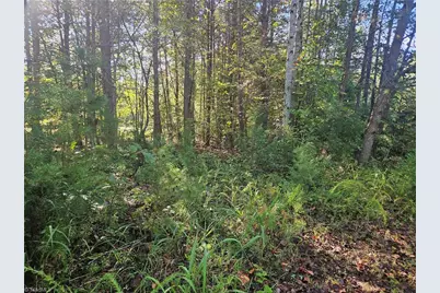 0 Dodgetown Road, Walnut Cove, NC 27052 - Photo 4