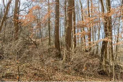 000 E Brocktown Road, Moravian Falls, NC 28654 - Photo 12