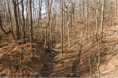 000 E Brocktown Road, Moravian Falls, NC 28654 - Photo 30