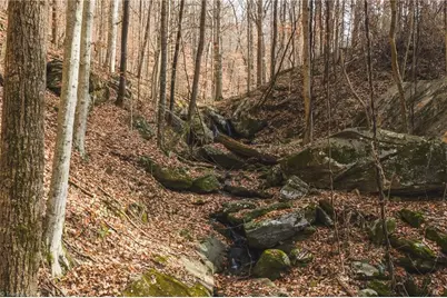 000 E Brocktown Road, Moravian Falls, NC 28654 - Photo 18