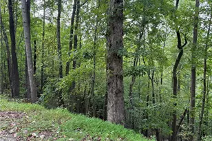 000 Ridge Run Rd, Boomer, NC 28606 - Photo 1