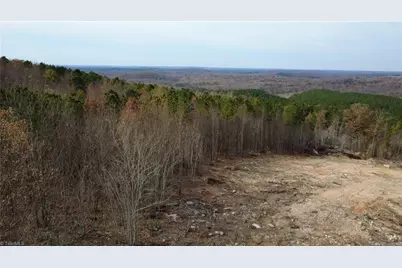 0 Woodfield Drive, Sophia, NC 27350 - Photo 34