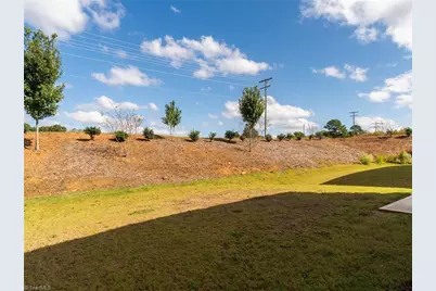 1136 Orchard Stream Drive, Haw River, NC 27258 - Photo 32