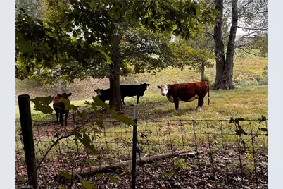 181 Fox Walk Lane, Pilot Mountain, NC 27041 - Photo 50